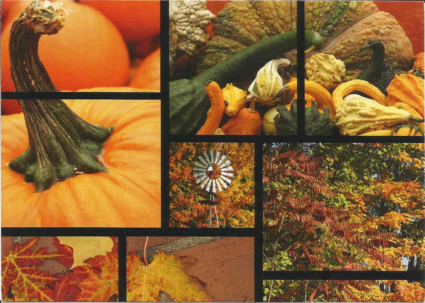 business thanksgiving greeting cards - card 26